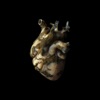 Uranium Heart, 2019