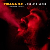Triana D.F. - Distrito Flamenco artwork
