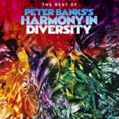 Peter Banks's Harmony In Diversity - On the Sixth Attempt They Trod on It