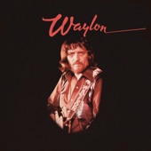 Waylon Jennings - Don't You Think This Outlaw Bit's Done Got out of Hand