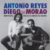 Directo en el Círculo Flamenco de Madrid (En Directo) - Antonio Reyes & Diego del Morao