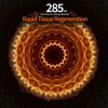 285 Hz - Rapid Tissue Regeneration Solfeggio Frequencies