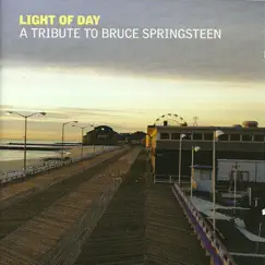 Light of Day: A Tribute to Bruce Springsteen by Various Artists album reviews, ratings, credits