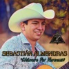 Sebastián Almendras - La Odisea