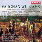 Vaughan Williams: Norfolk Rhapsody artwork