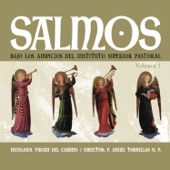 Salmo 46. Antífona 3: Todos los Pueblos Batid Palmas (Remastered) artwork