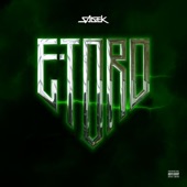 E-TORO artwork