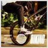 Biking (feat. JAY Z & Tyler, the Creator) - Single album lyrics, reviews, download
