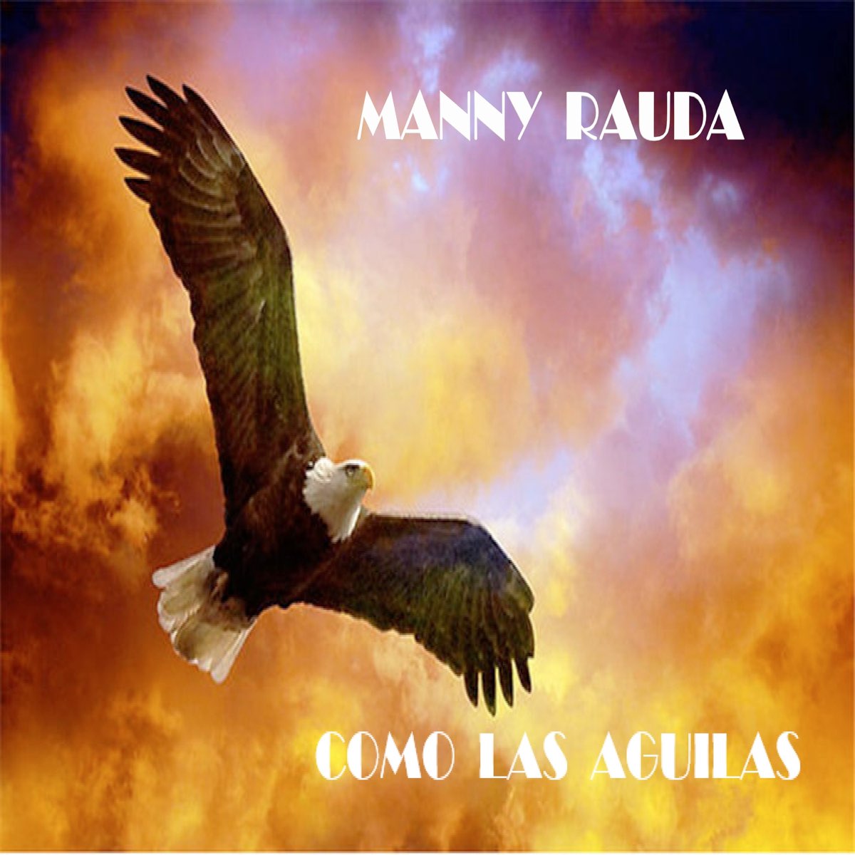 Como las aguilas - Single by Manny Rauda on Apple Music