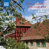 Forår og sommer i Den Gamle By artwork