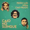 Caio No Suingue - Single album lyrics, reviews, download