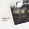 Feel So Far Away - Patrick James lyrics