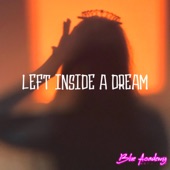 Left Inside a Dream artwork