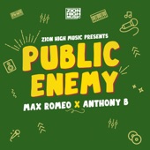 Public Enemy artwork