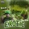 Exotic (feat. Tripstar) - Sean B MAYOR3X lyrics