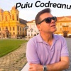 Album Puiu Codreanu (Puiu Codreanu) - Single