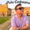 Album Puiu Codreanu (Puiu Codreanu) cover