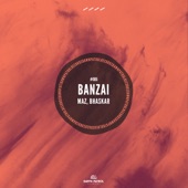 Banzai artwork