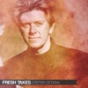 Peter Cetera - (I Wanna Take) Forever Tonight