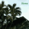 Home - Single