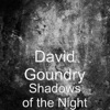 Shadows of the Night - Single