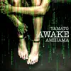 Awake - Single album lyrics, reviews, download