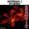 Hybrid (Abomination) [Deejay Jones Mix] - Morgan J lyrics