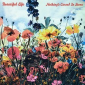 Beautiful Life artwork