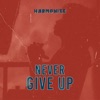 Never Give Up - Single