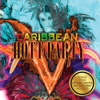 Caribbean Hott Party, Vol. 5 - Various Artists