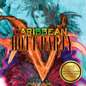 Caribbean Hott Party, Vol. 5 - Multi-interprètes