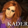 Sen Hayırdır - Single