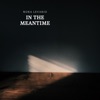 In The Meantime - Single