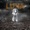 LUNA - IoZ