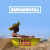 Rudimental - Toast to Our Differences (Deluxe)  artwork