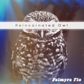 Reincarnated Owl artwork