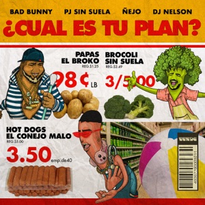 Bad Bunny, Ñejo & Pj Sin Suela - ¿Cual Es Tu Plan? - Single (feat. DJ Nelson) - Single