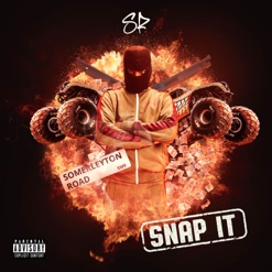SNAP IT cover art