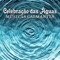 Planeta Água - Natureza Musica Bem-Estar Academia lyrics