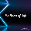 The Name of Life (From "Spirited Away") [Guitar Instrumental] - Single album lyrics, reviews, download