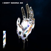 I Don't Wanna Go artwork