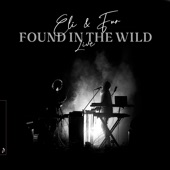 Found in the Wild (Live) artwork