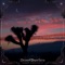 Clear Vision (Desert Dwellers Remix) - Perfect Stranger lyrics