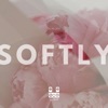 Softly - Single