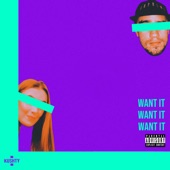 Want It artwork