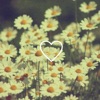 Tomcbumpz - Heart Beat