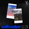 Saltwater (feat. Rakaa & DJ Juggy) - Single album lyrics, reviews, download