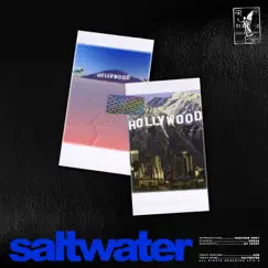 Saltwater (feat. Rakaa & DJ Juggy) - Single by Heather Grey album reviews, ratings, credits