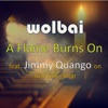 A Flame Burns On (feat. Jimmy Quango on Acoustic guitar) - Single