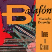 Balafon Marimba Ensemble - Mr. Oblivious